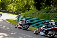 cadwell-no-limits-trackday;cadwell-park;cadwell-park-photographs;cadwell-trackday-photographs;enduro-digital-images;event-digital-images;eventdigitalimages;no-limits-trackdays;peter-wileman-photography;racing-digital-images;trackday-digital-images;trackday-photos